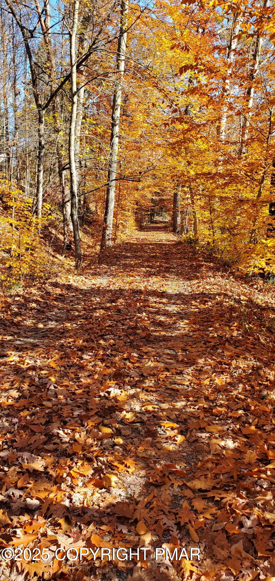1341 Beaver Valley Road Stroudsburg, PA 18360 - Photo 84 of 86 Golden Path 2