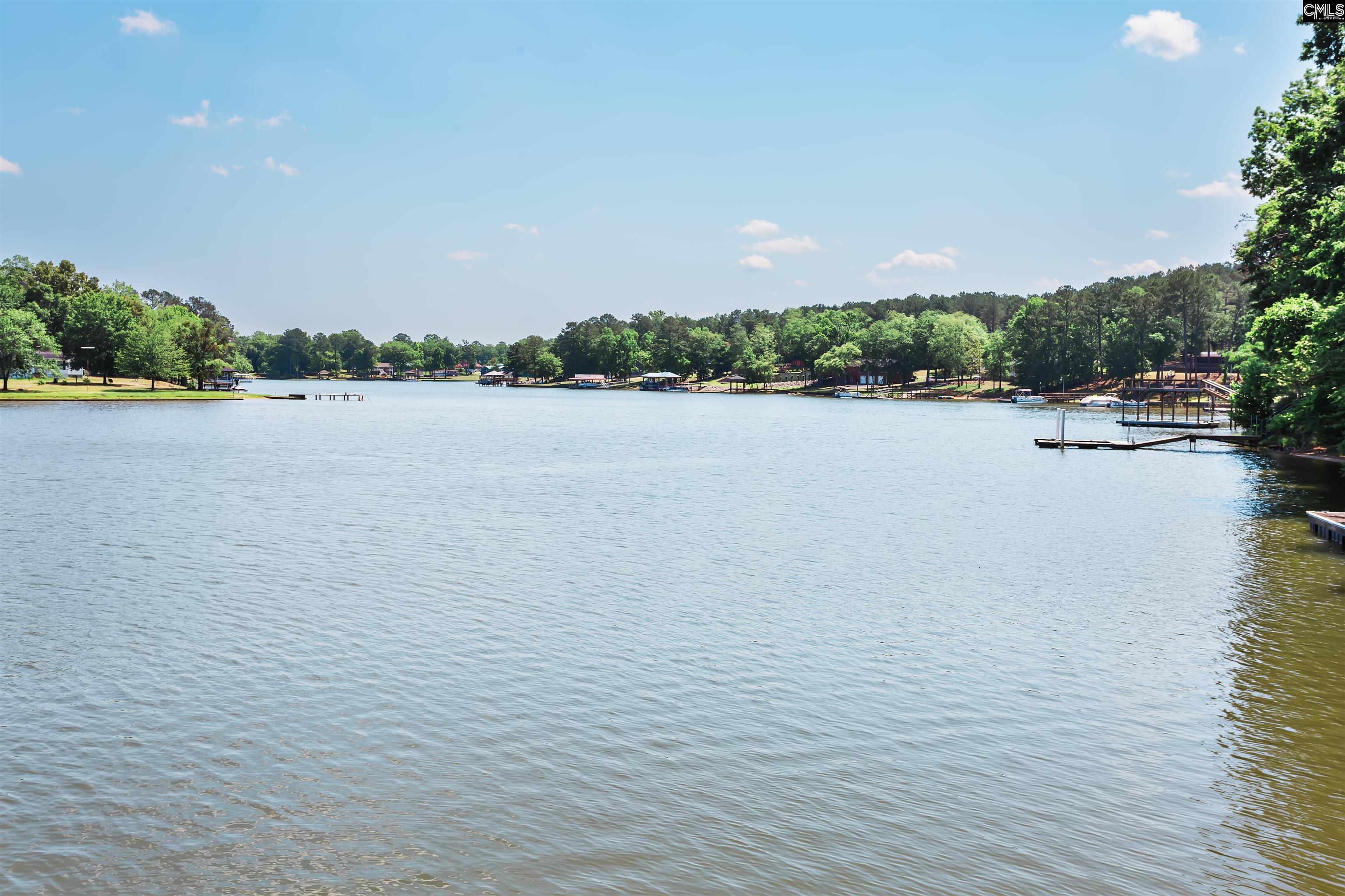 331 Westshore Drive Ridgeway, SC 29130 - Photo 4 of 35