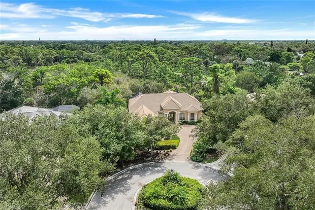 a view of a garden with an outdoor space