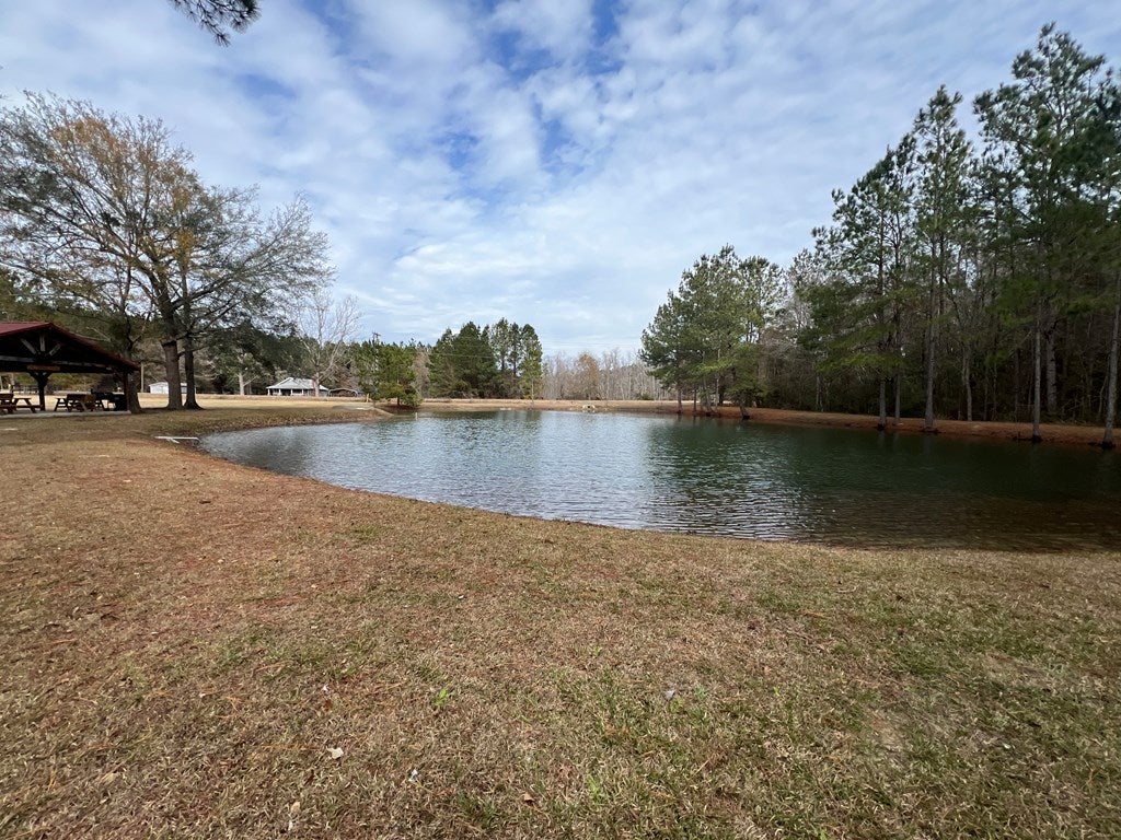 900 Benton Road Ochlocknee, GA 31773 - Photo 18 of 33 Gallery Image 18