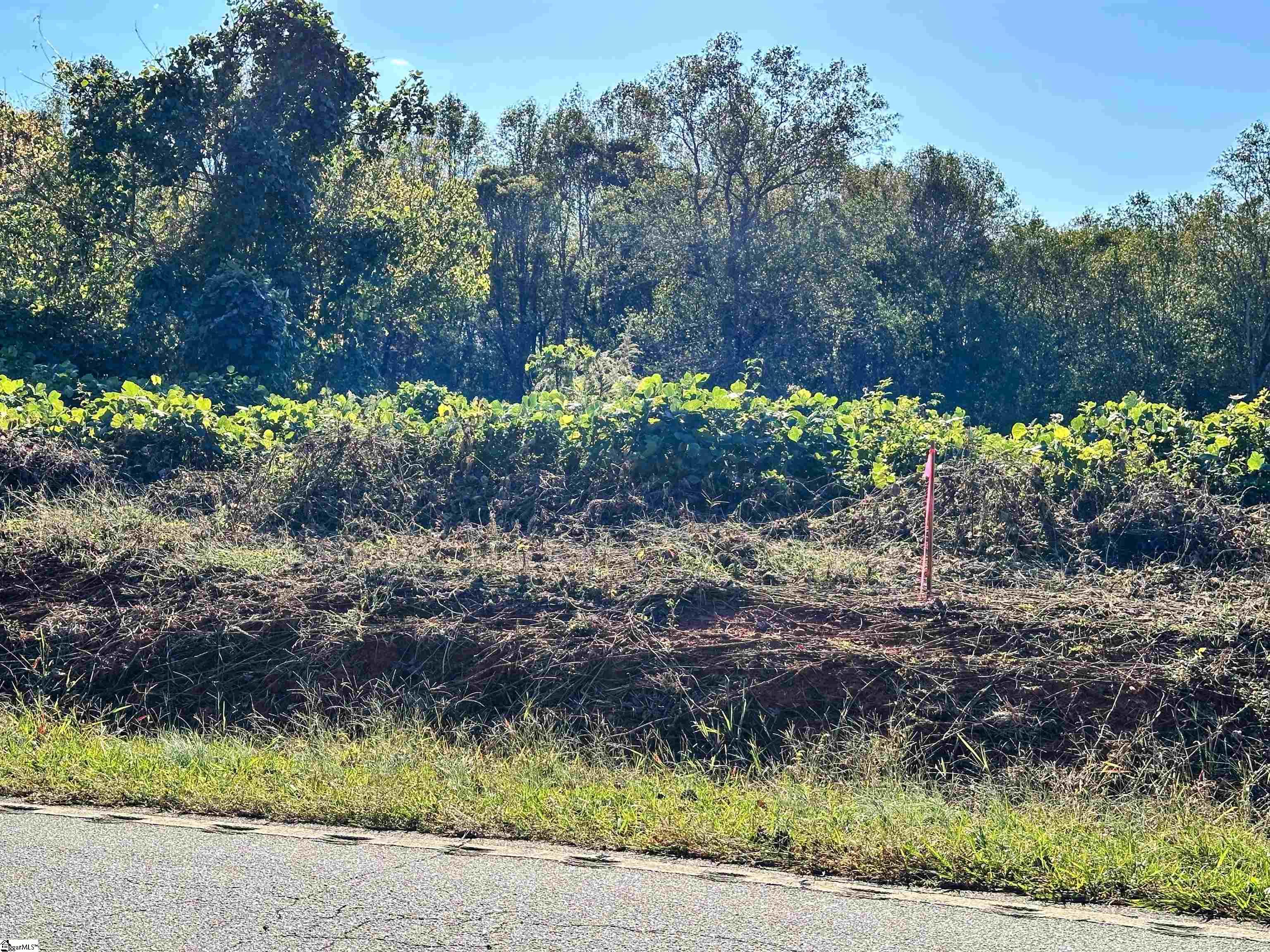 C Hillside Church Road Fountain Inn, SC 29644 - Photo 3 of 5
