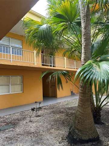 a view of a palm tree with a yard