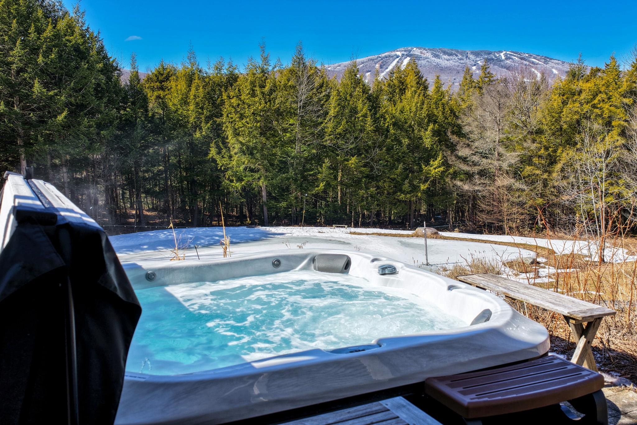 39 Wallis View Lane Ludlow, VT 05149 - Photo 40 of 54