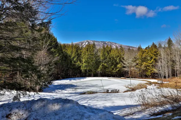 $1,395,000 | 39 Wallis View Lane, Ludlow, VT 05149