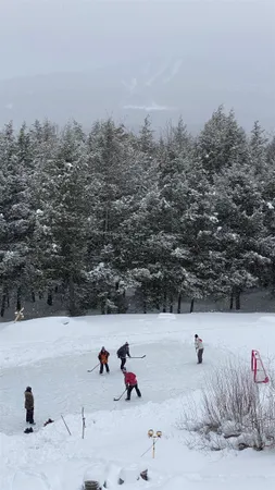 $1,395,000 | 39 Wallis View Lane, Ludlow, VT 05149