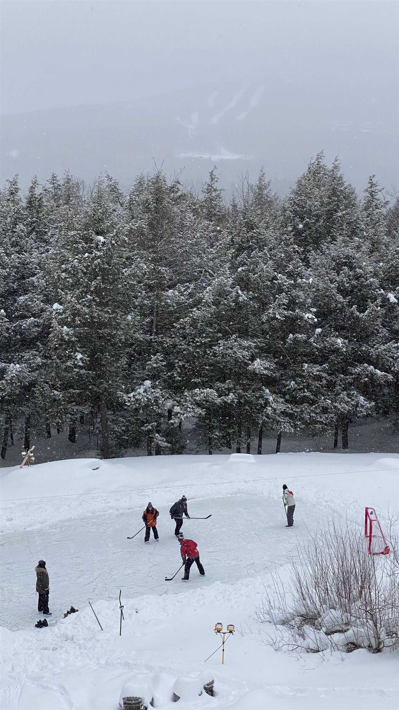 39 Wallis View Lane Ludlow, VT 05149 - Photo 5 of 54