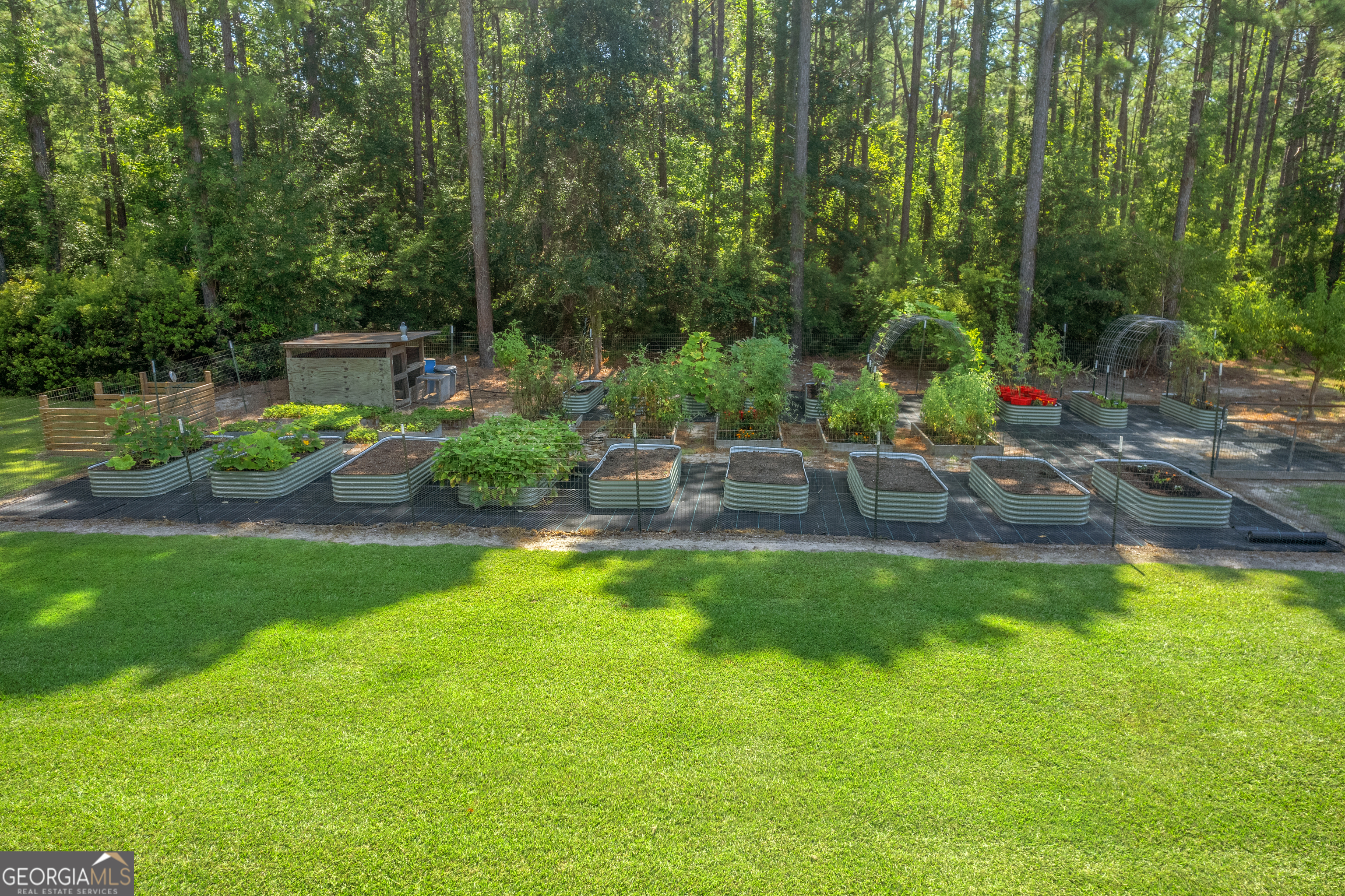 1269 Tarver Road Davisboro, GA 31018 - Photo 14 of 64