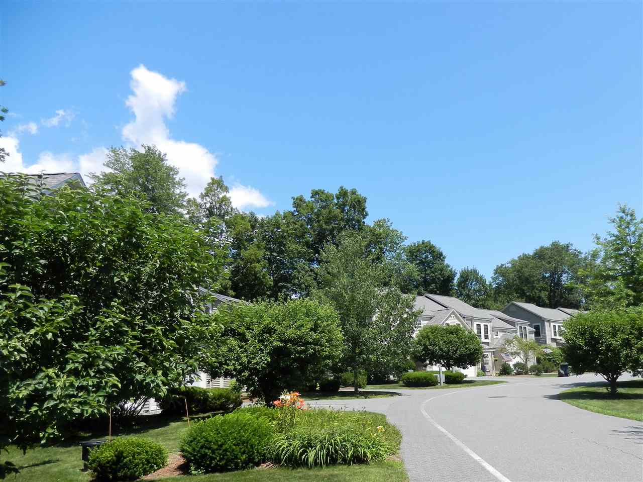 299 Mt Support Road, Unit 12 REED COURT Lebanon, NH 03766 - Photo 2 of 18 Gallery Image 2