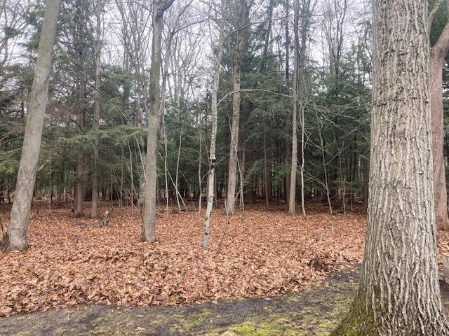 3751 Lakeshore Road Manistee, MI 49660 - Photo 15 of 39 IMG_2069