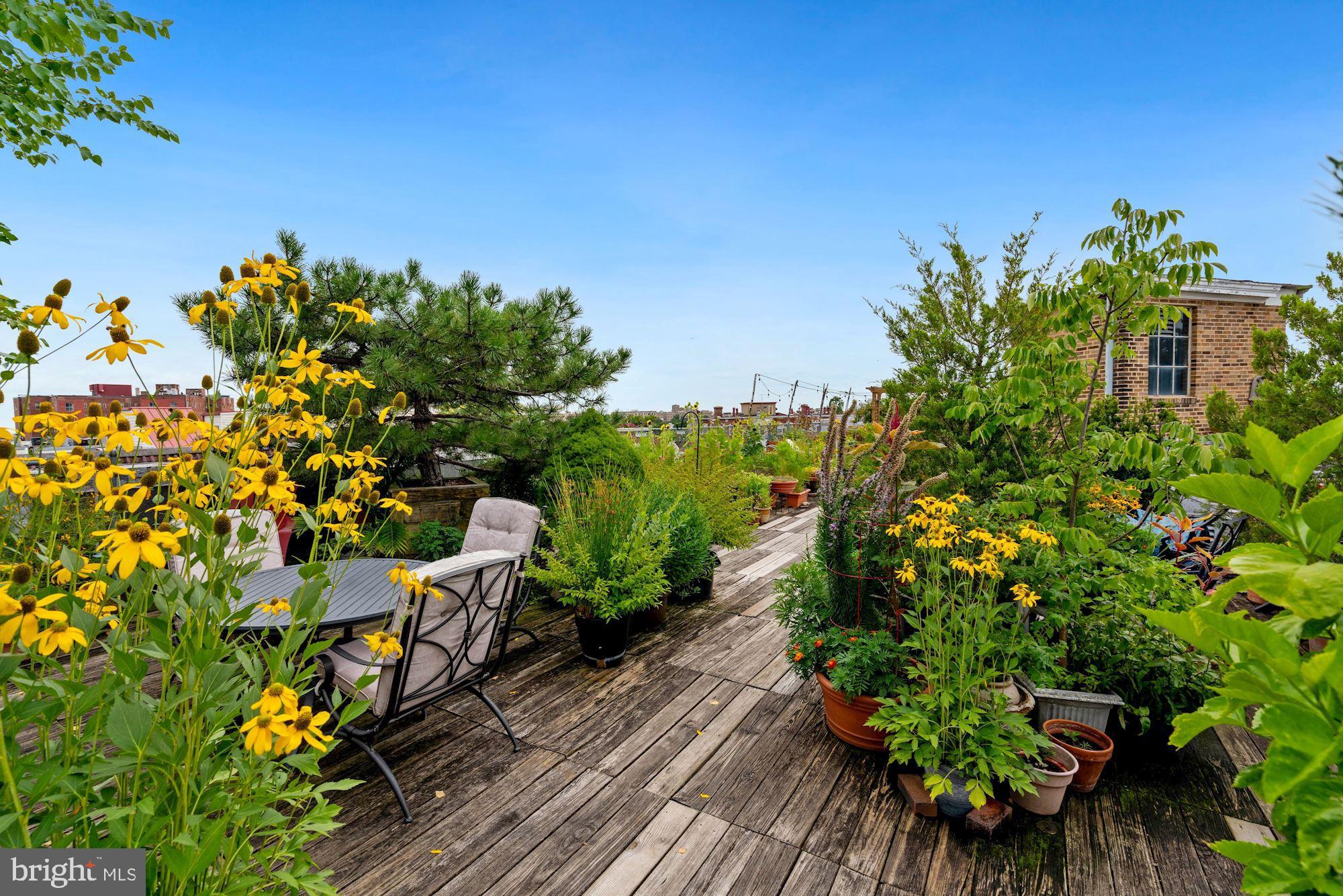 2707 Adams Mill Road Northwest, Unit 106 Washington, DC 20009 - Photo 20 of 31 Building Roof Garden