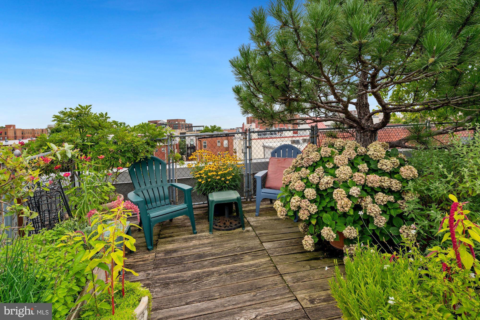 2707 Adams Mill Road Northwest, Unit 106 Washington, DC 20009 - Photo 21 of 31 Building Roof Garden