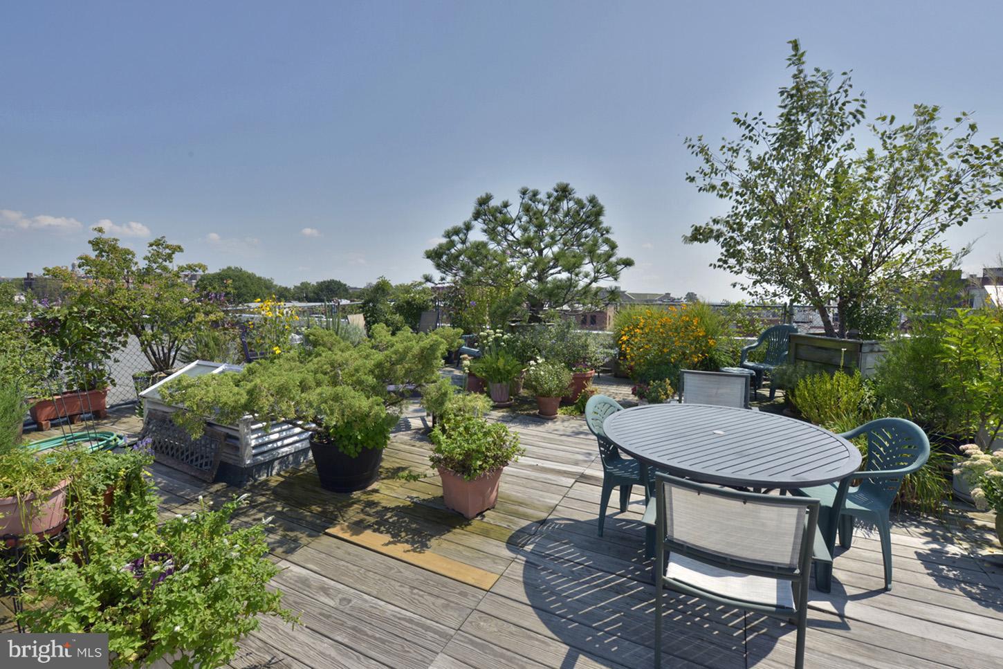 2707 Adams Mill Road Northwest, Unit 106 Washington, DC 20009 - Photo 22 of 31 Building Roof Garden