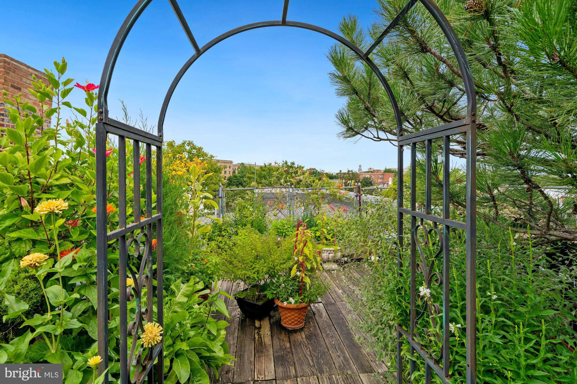 2707 Adams Mill Road Northwest, Unit 106 Washington, DC 20009 - Photo 23 of 31 Building Roof Garden