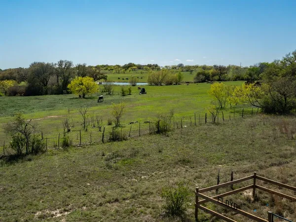 a view of a field with trees in the background