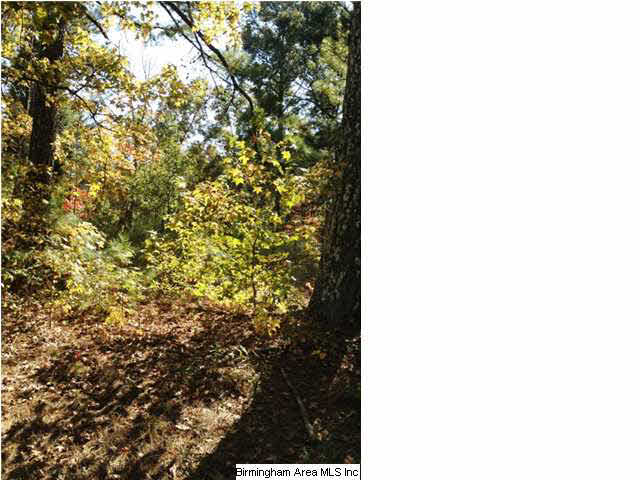 7067 Sellers Road Dora, AL 35062 - Photo 1 of 4