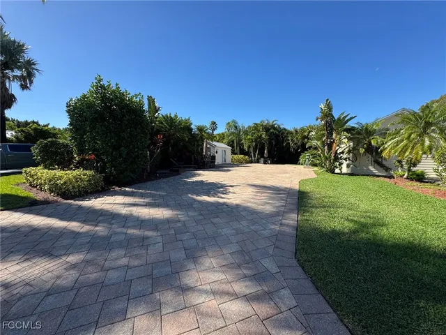 a view of a yard with plants and a trees
