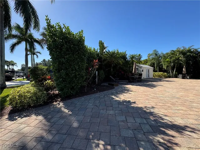 a view of a yard with plants