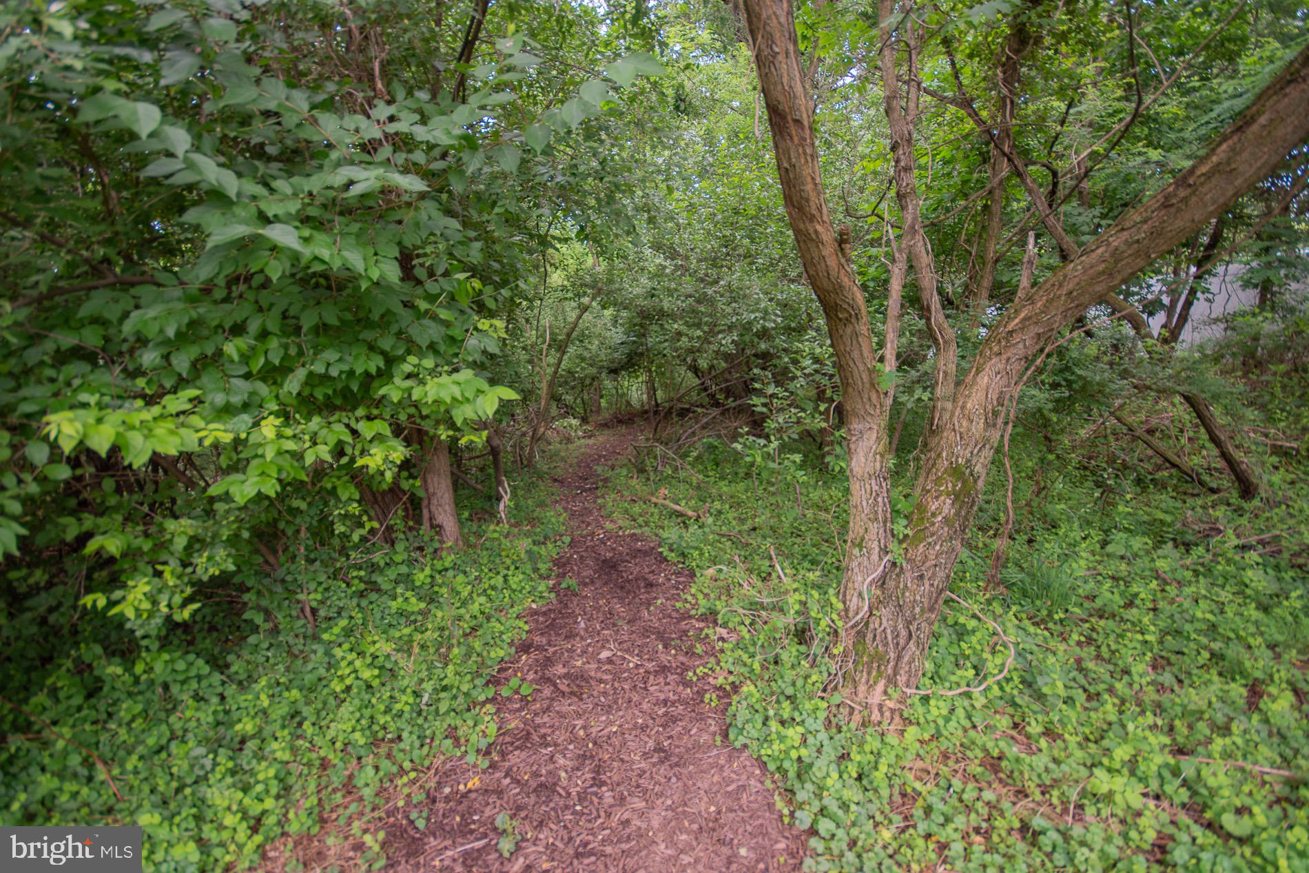 567 Rivanna Run Falling Waters, WV 25419 - Photo 78 of 96