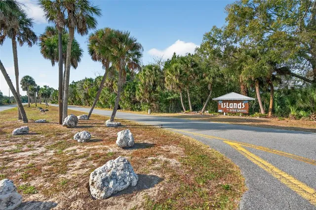 a view of a park with palm trees