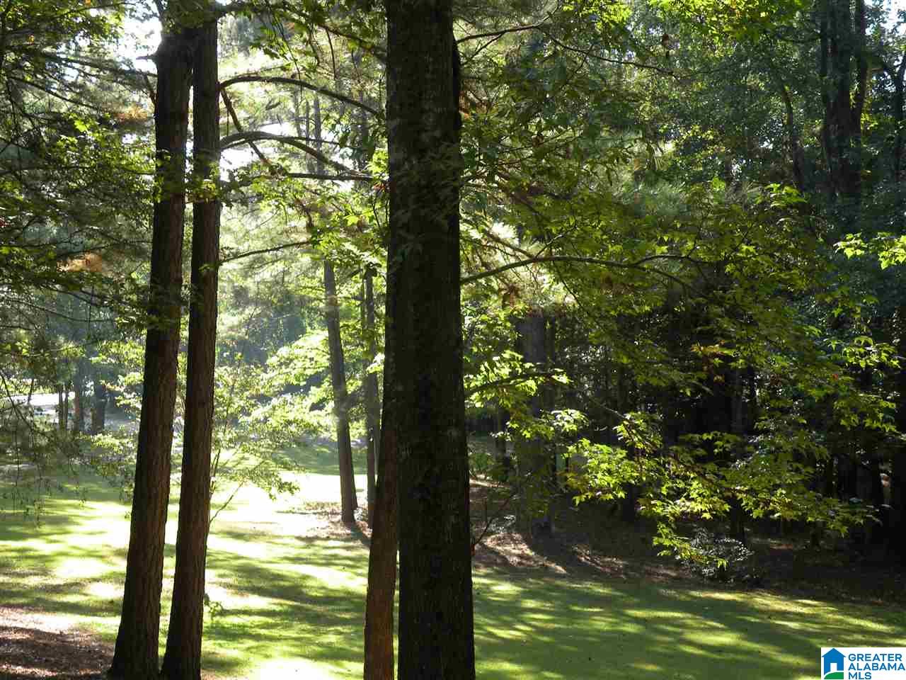2424 Lake Terrace Road Sylacauga, AL 35150 - Photo 35 of 35
