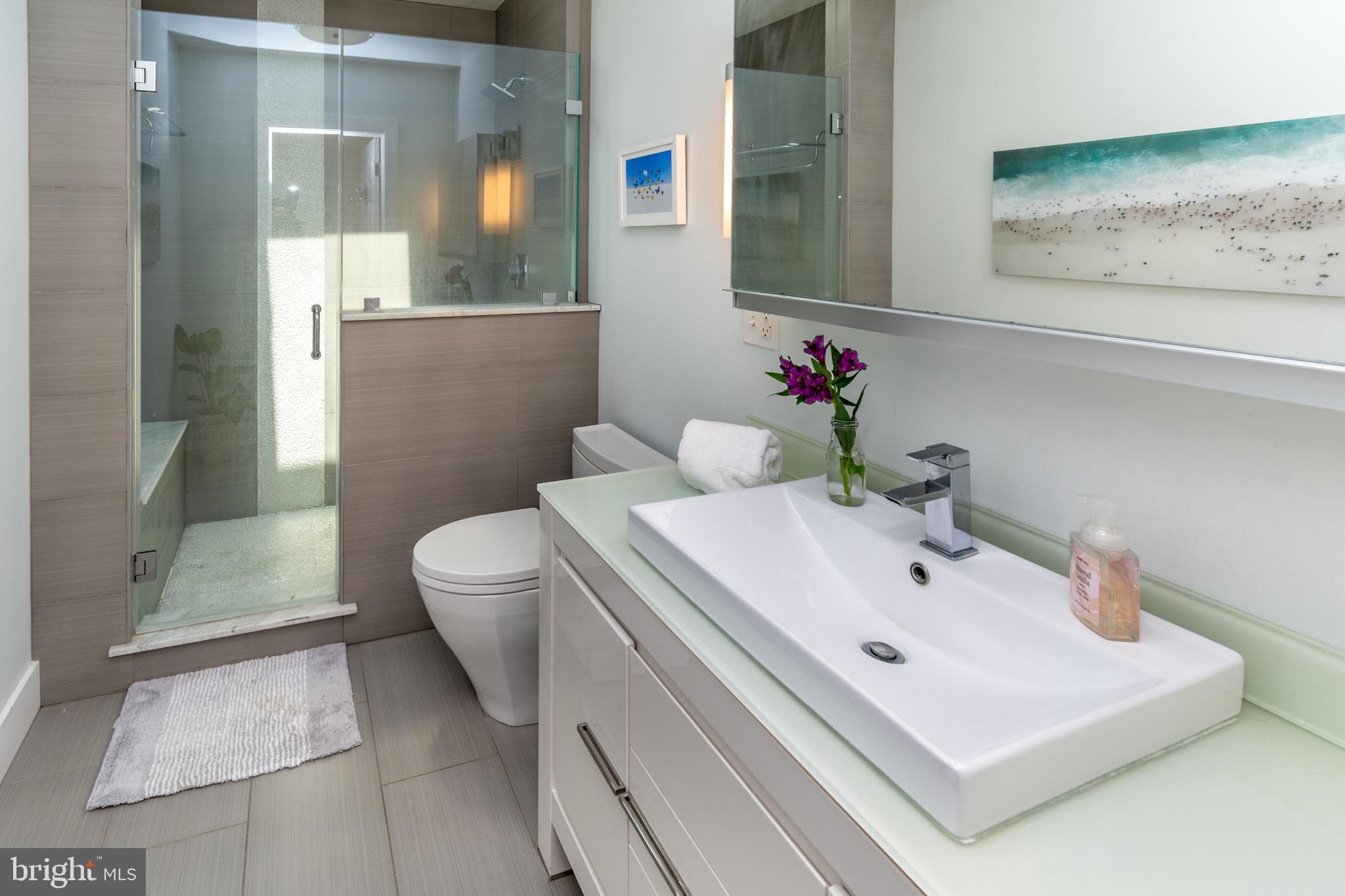 2539 Aquetong Road New Hope, PA 18938 - Photo 24 of 50 2nd Luxury Bathroom w/Walk-In Shower & Skylight