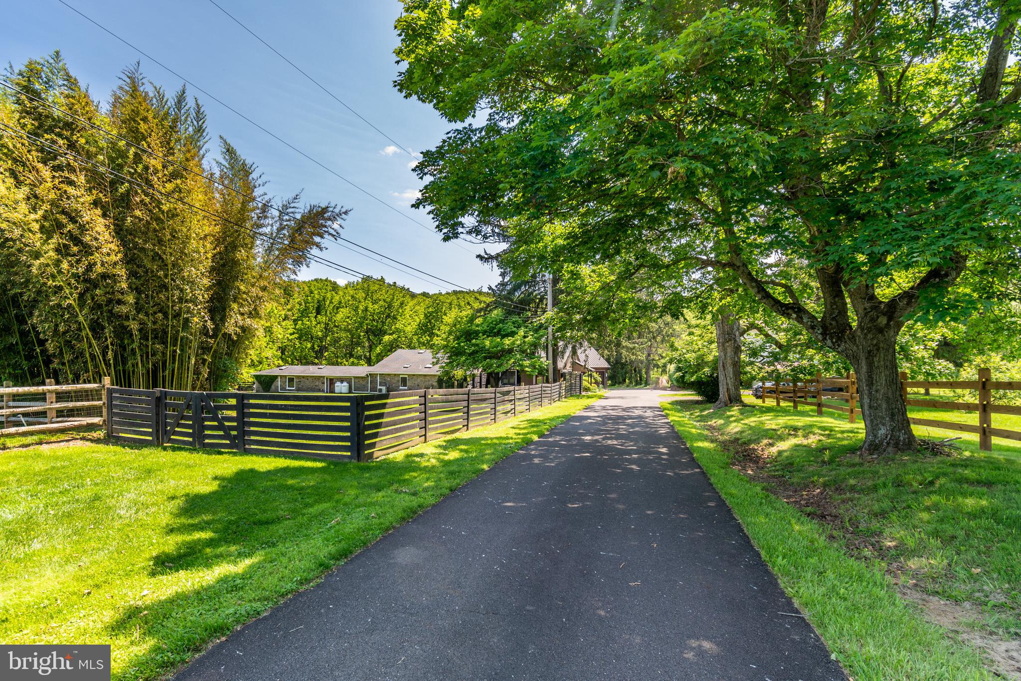 2539 Aquetong Road New Hope, PA 18938 - Photo 46 of 50 Long Driveway Leads to the Home