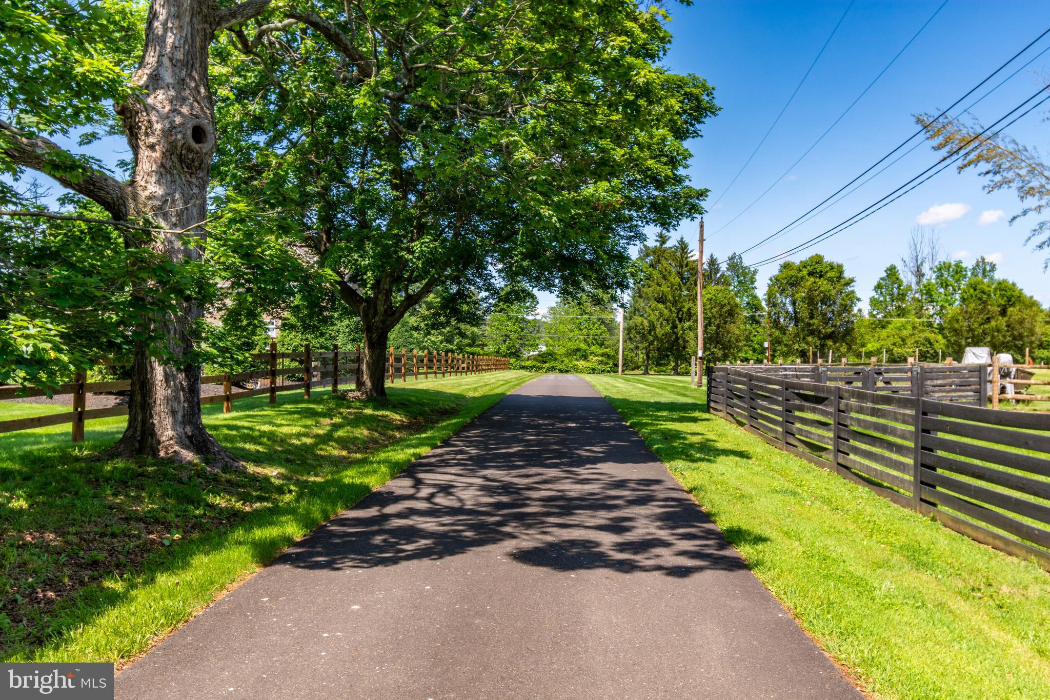 2539 Aquetong Road New Hope, PA 18938 - Photo 47 of 50 Long Driveway Looking out towards Aquetong Rd