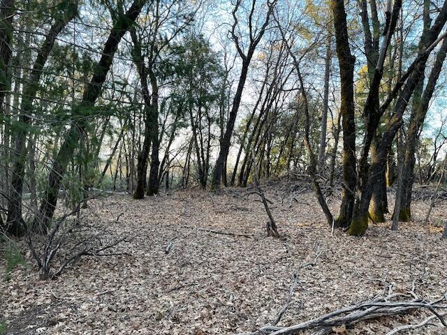 160 Ac Road Oak Run, CA 96069 - Photo 5 of 39 20240322022048004301000000-o
