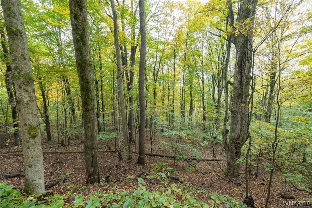 11655 Bolton Road Ashford, NY 14141 - Photo 28 of 28 Gallery Image 28