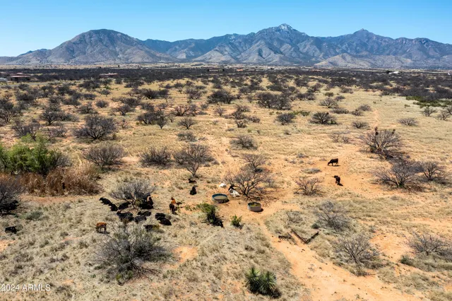 a view of a dry yard with mountain