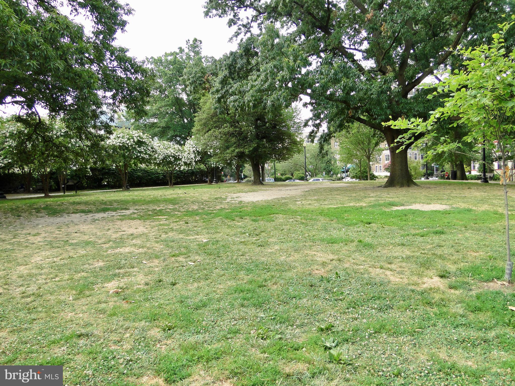 1927 Belmont Road Northwest, Unit 83 Washington, DC 20009 - Photo 27 of 27 Kalorama park is the perfect place to picnic!