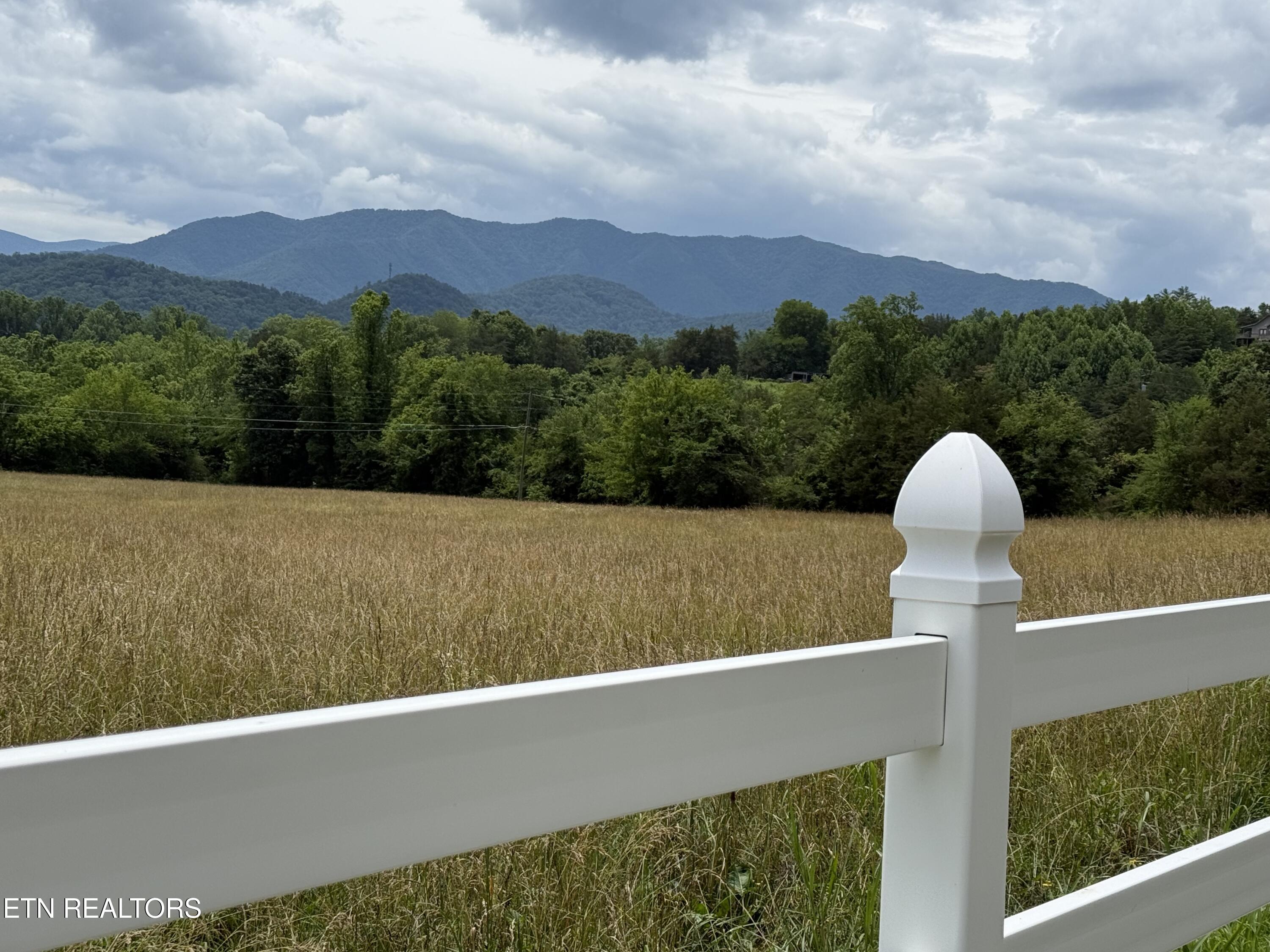 634 Old Cedar Creek Road Townsend, TN 37882 - Photo 2 of 40 IMG_8436