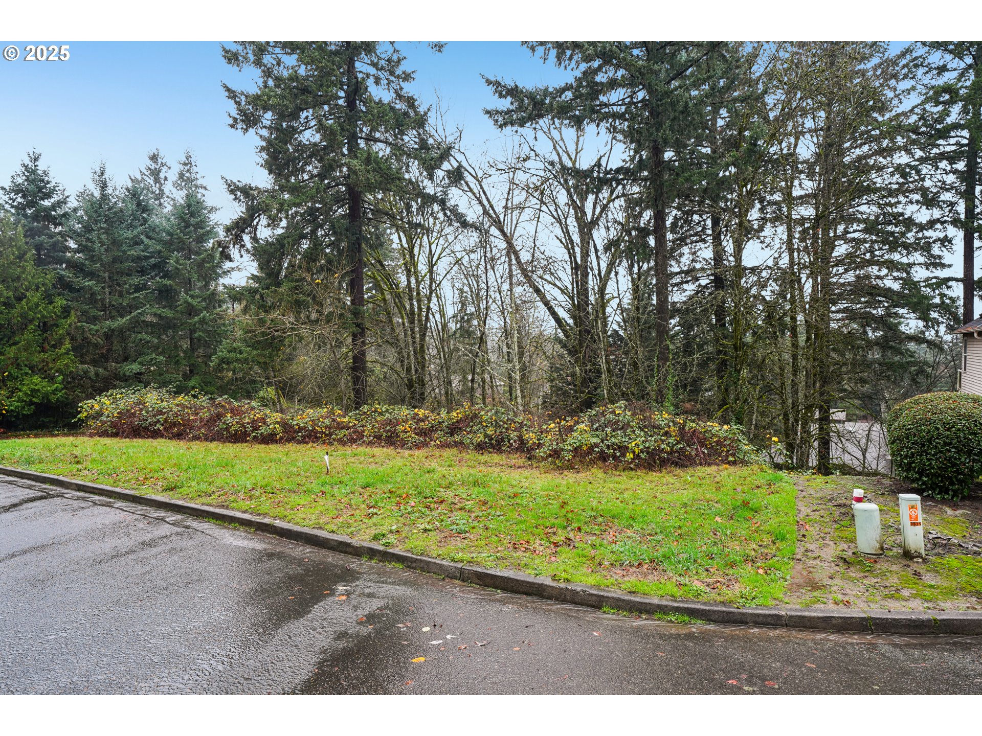 3317 Southwest Parsons Court Portland, OR 97219 - Photo 2 of 15 a view of a yard with large trees