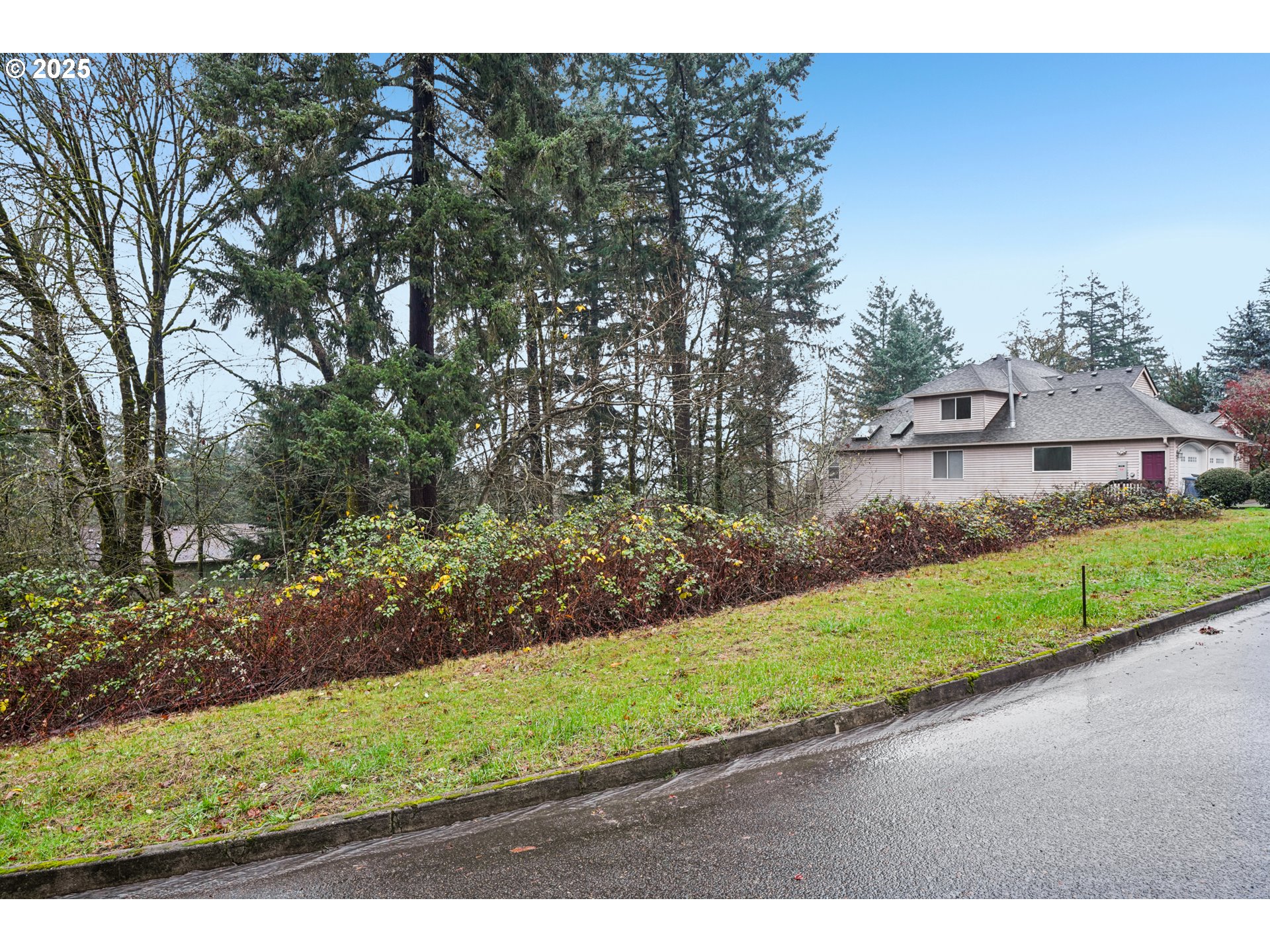 3317 Southwest Parsons Court Portland, OR 97219 - Photo 4 of 15 a view of a house with a yard and large tree
