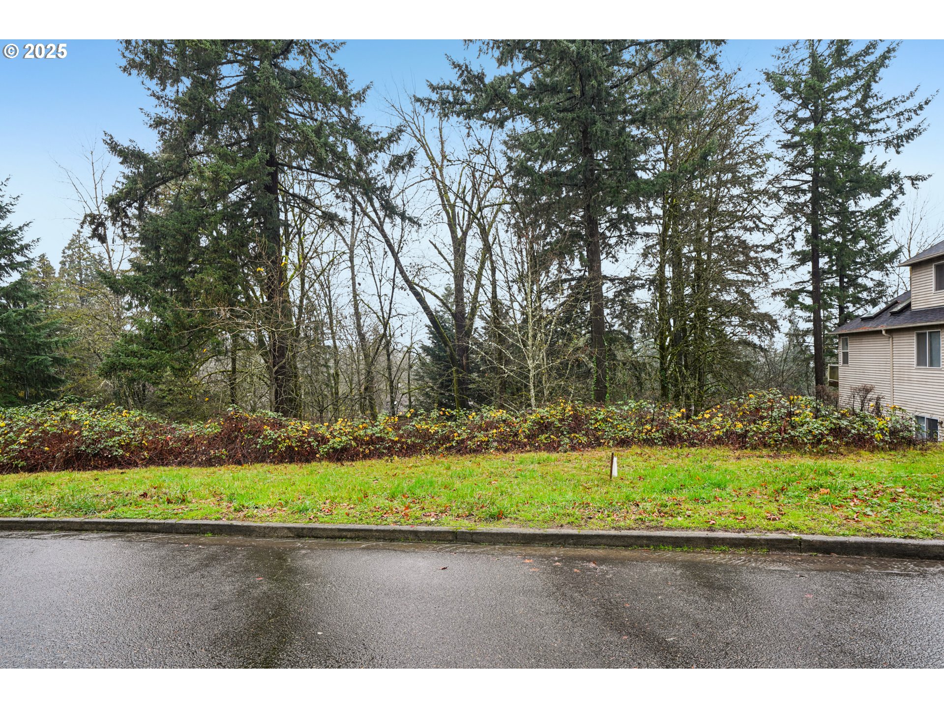 3317 Southwest Parsons Court Portland, OR 97219 - Photo 5 of 15 a backyard of a house with a yard