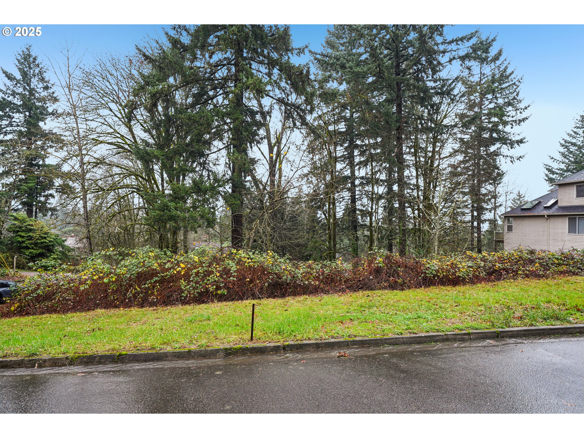 3317 Southwest Parsons Court Portland, OR 97219 - Photo 6 of 15 a view of a yard