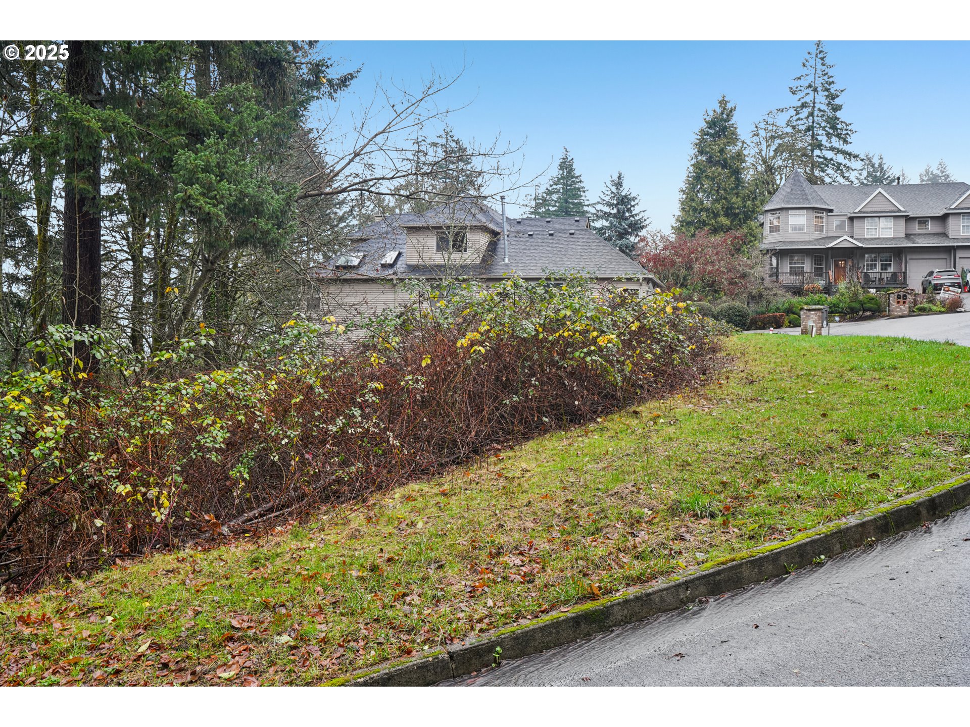 3317 Southwest Parsons Court Portland, OR 97219 - Photo 7 of 15 a view of a garden with a building