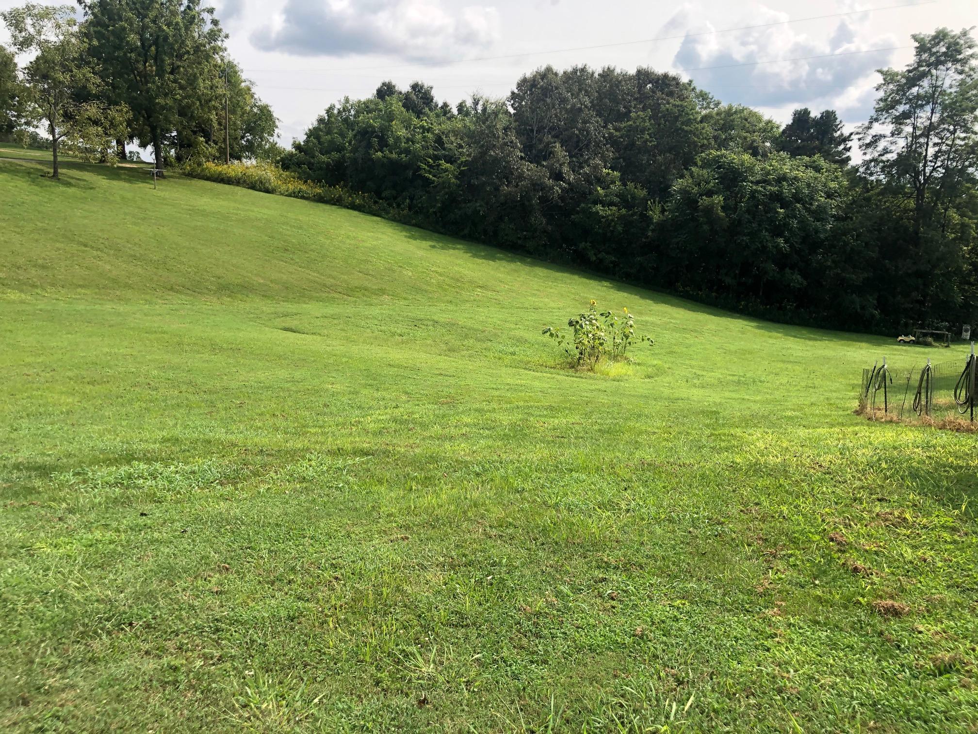 564 Collins Road Blaine, TN 37709 - Photo 12 of 39 IMG_0708