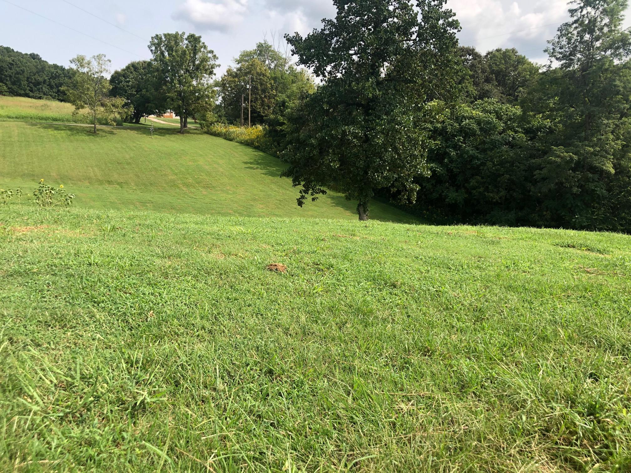 564 Collins Road Blaine, TN 37709 - Photo 6 of 39 IMG_0702 - Copy