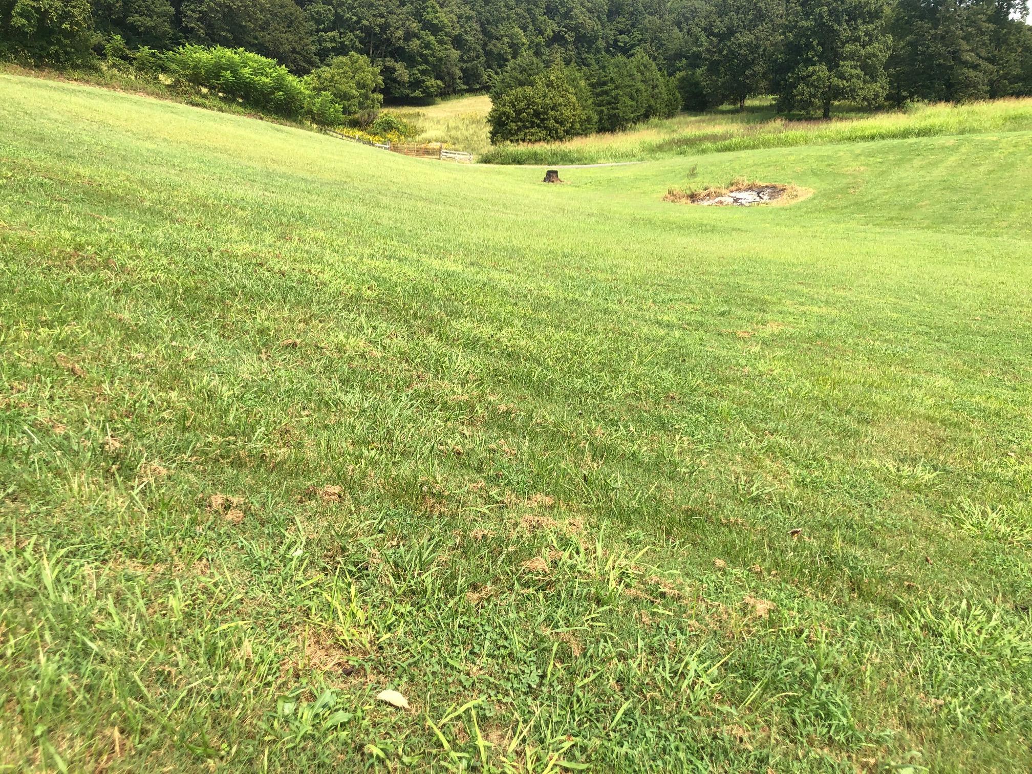 564 Collins Road Blaine, TN 37709 - Photo 10 of 39 IMG_0706 - Copy