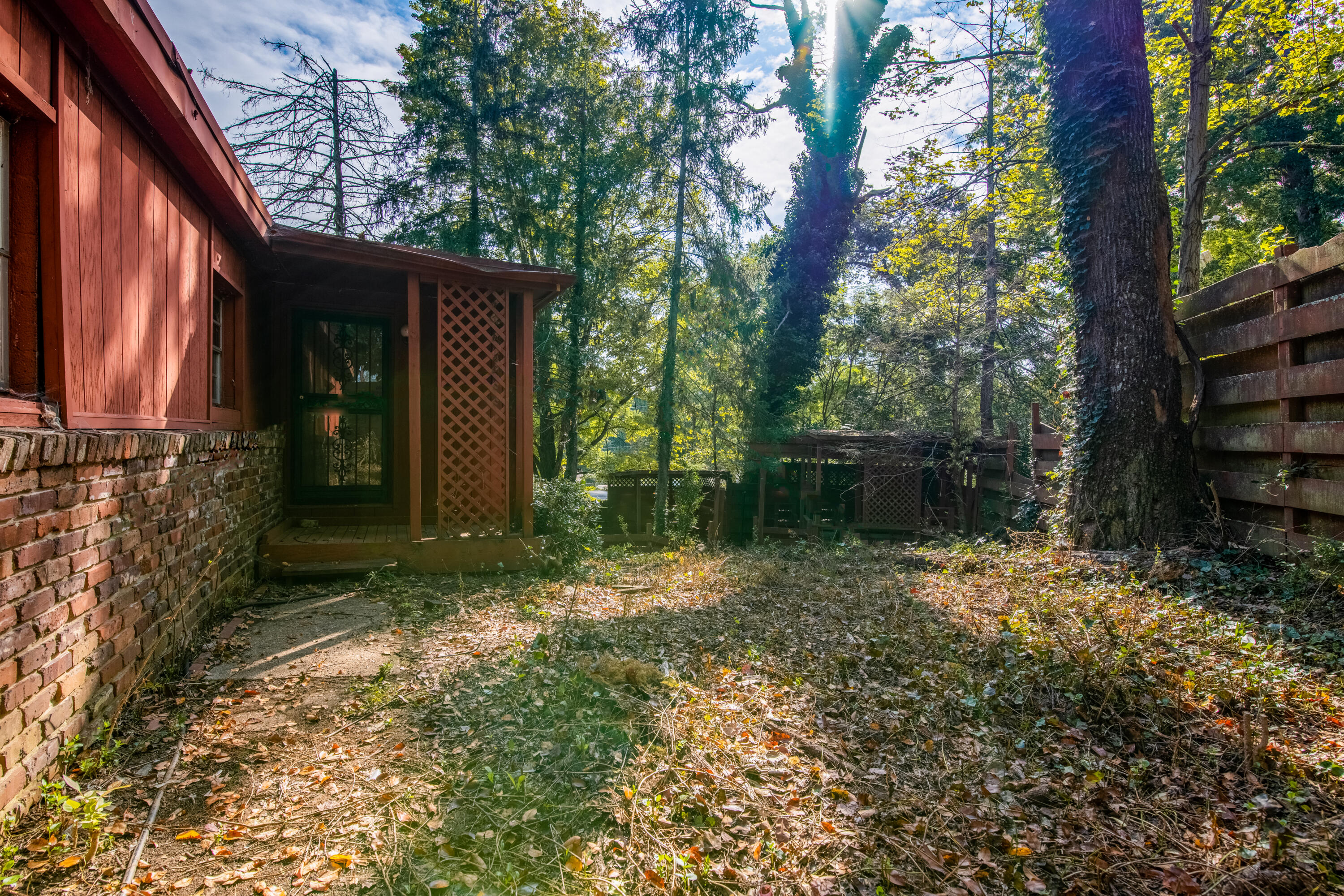 103 Niagara Lane Oak Ridge, TN 37830 - Photo 3 of 13 _DSC0868-HDR-Edit