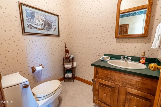 $805,000 | 19134 Amelia Drive, Abingdon, VA 24211