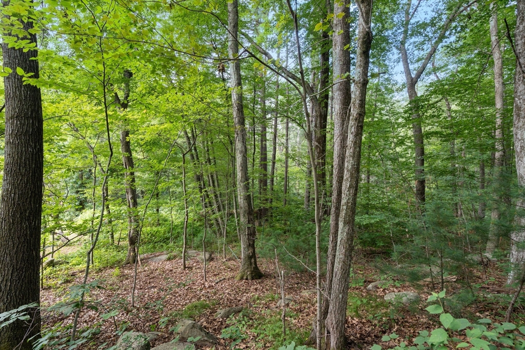70 Spring Street Hopkinton, MA 01748 - Photo 14 of 15