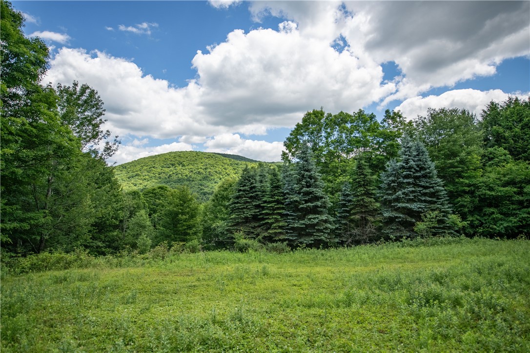 2393 East Brook Road Walton, NY 13856 - Photo 27 of 28