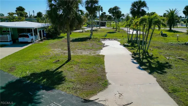 a view of a park with plants