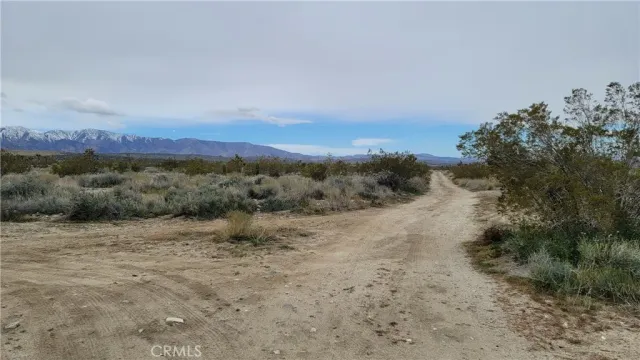 a view of a dry field with trees in background