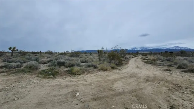 a view of a dry field with trees in background
