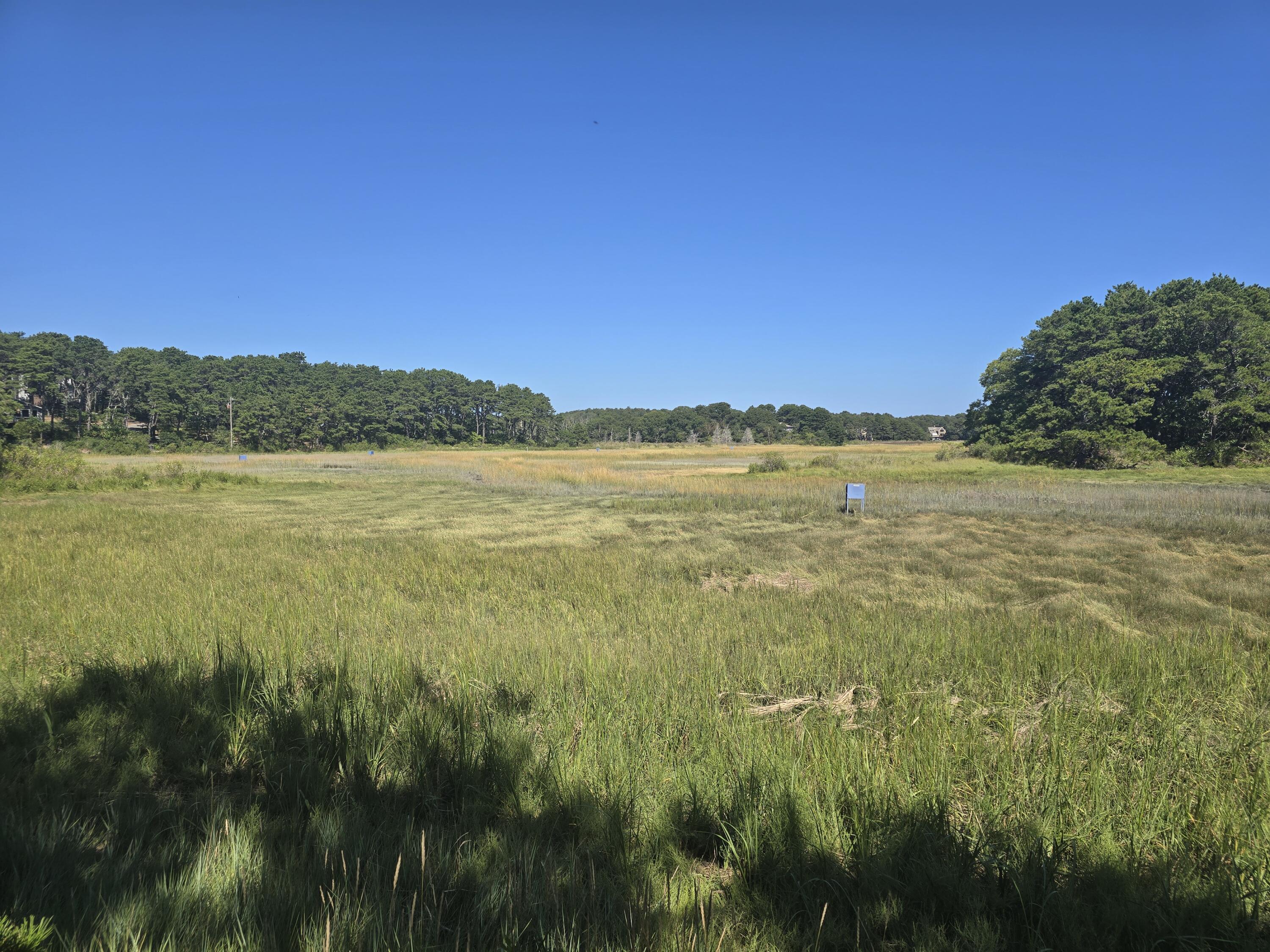 50 Anawan Road Wellfleet, MA 02667 - Photo 8 of 84 The Setting