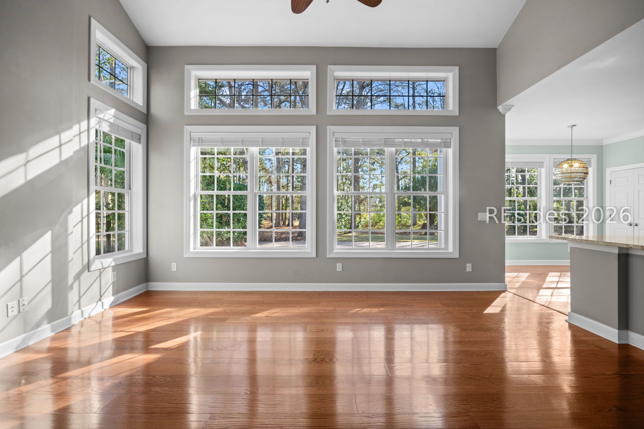 38 Sapelo Island Lane Bluffton, SC 29910 - Photo 6 of 68