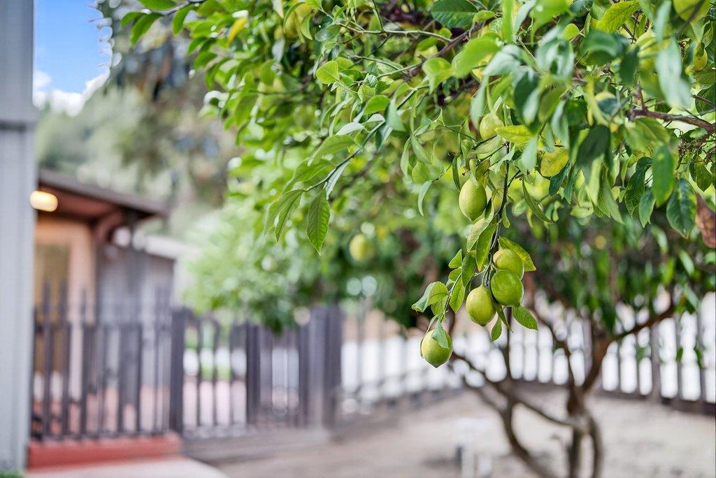 1455 Fern Flat Road Aptos, CA 95003 - Photo 48 of 69